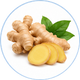 Ginger